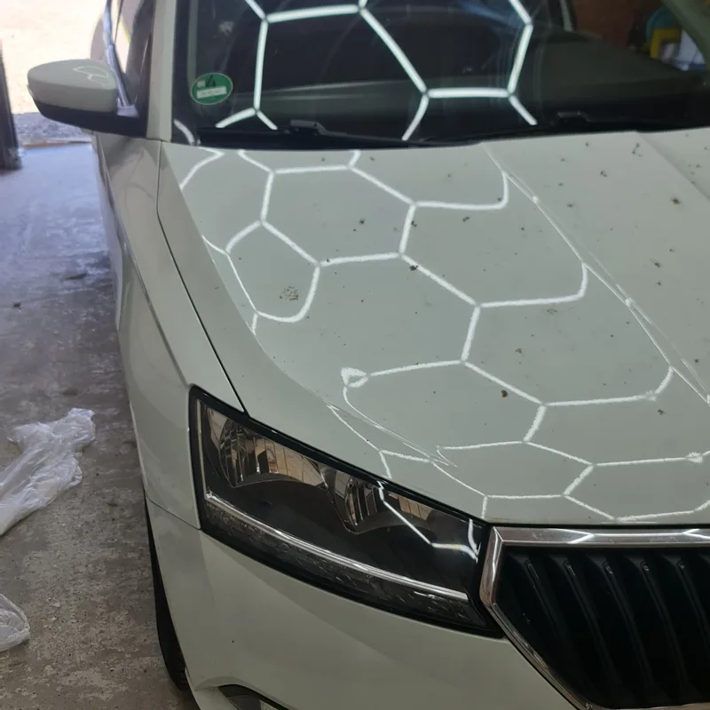 Skoda 1
